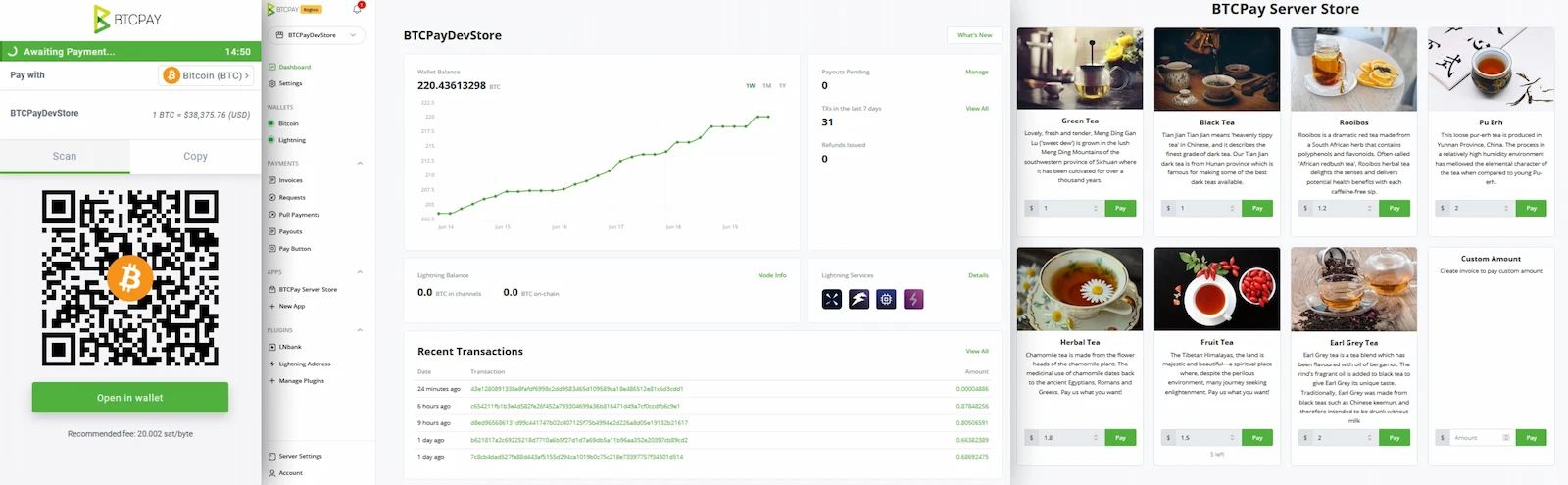 BTCPay Server screenshot 1