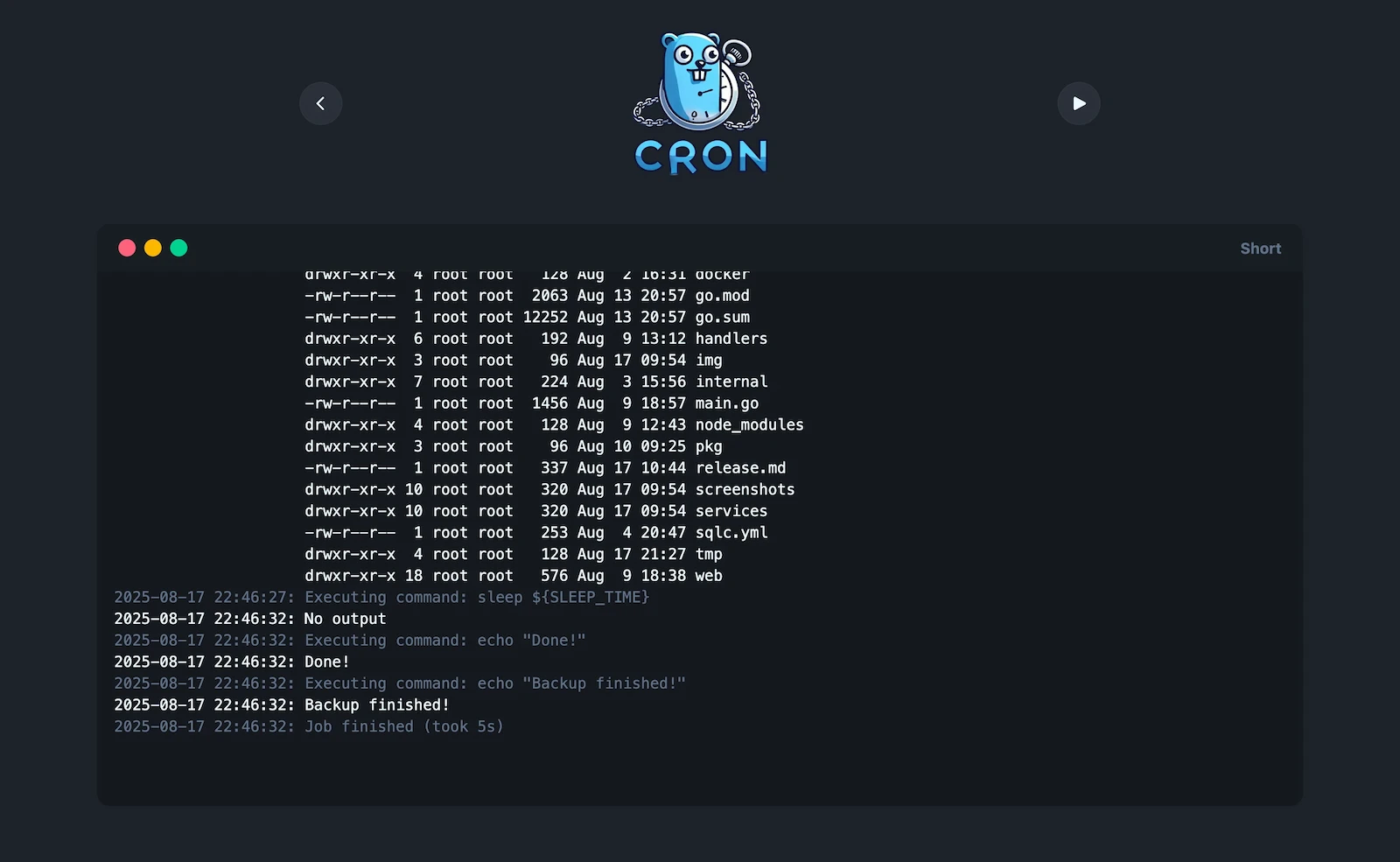 gocron screenshot 1
