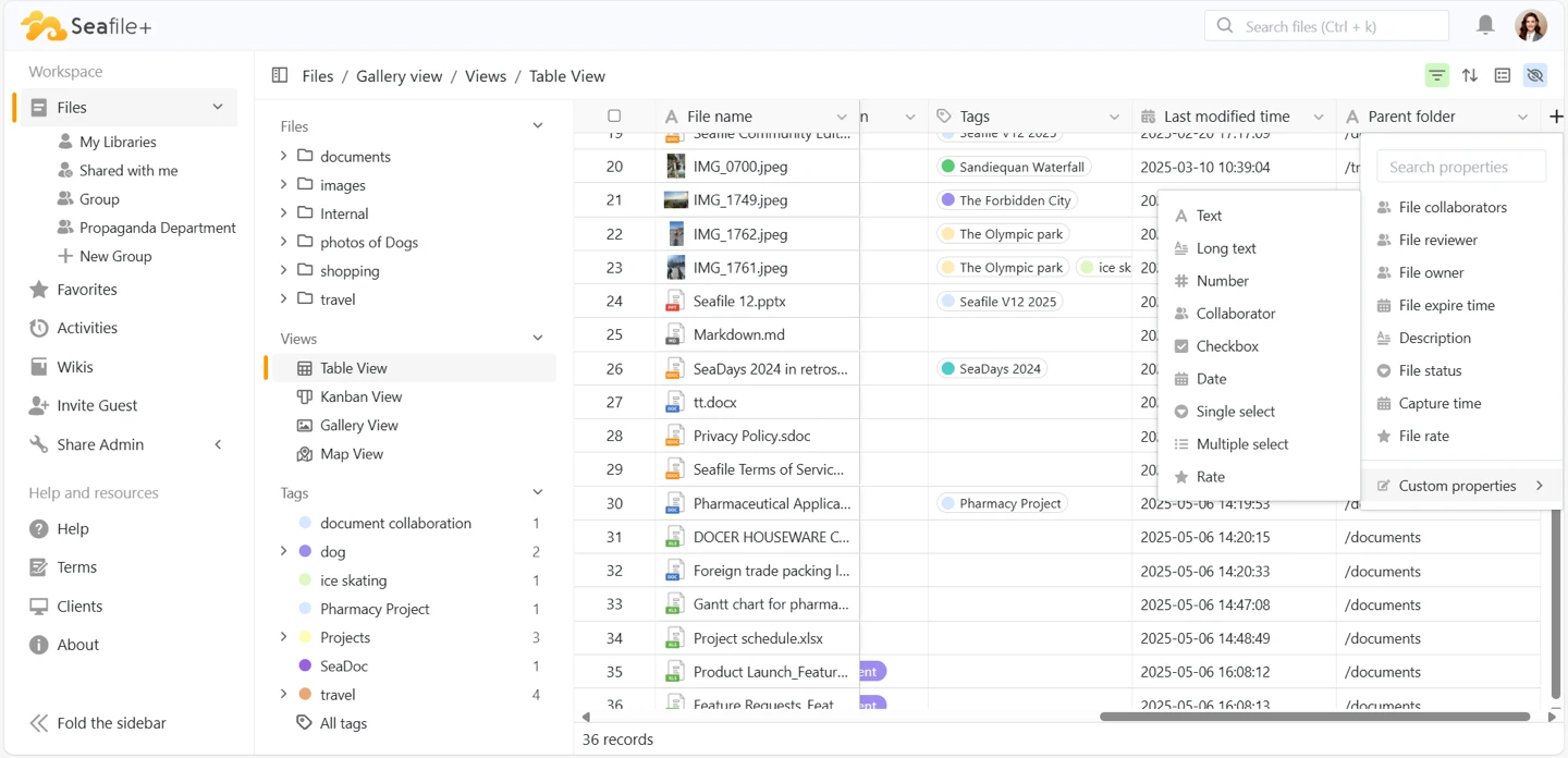 Seafile screenshot 1