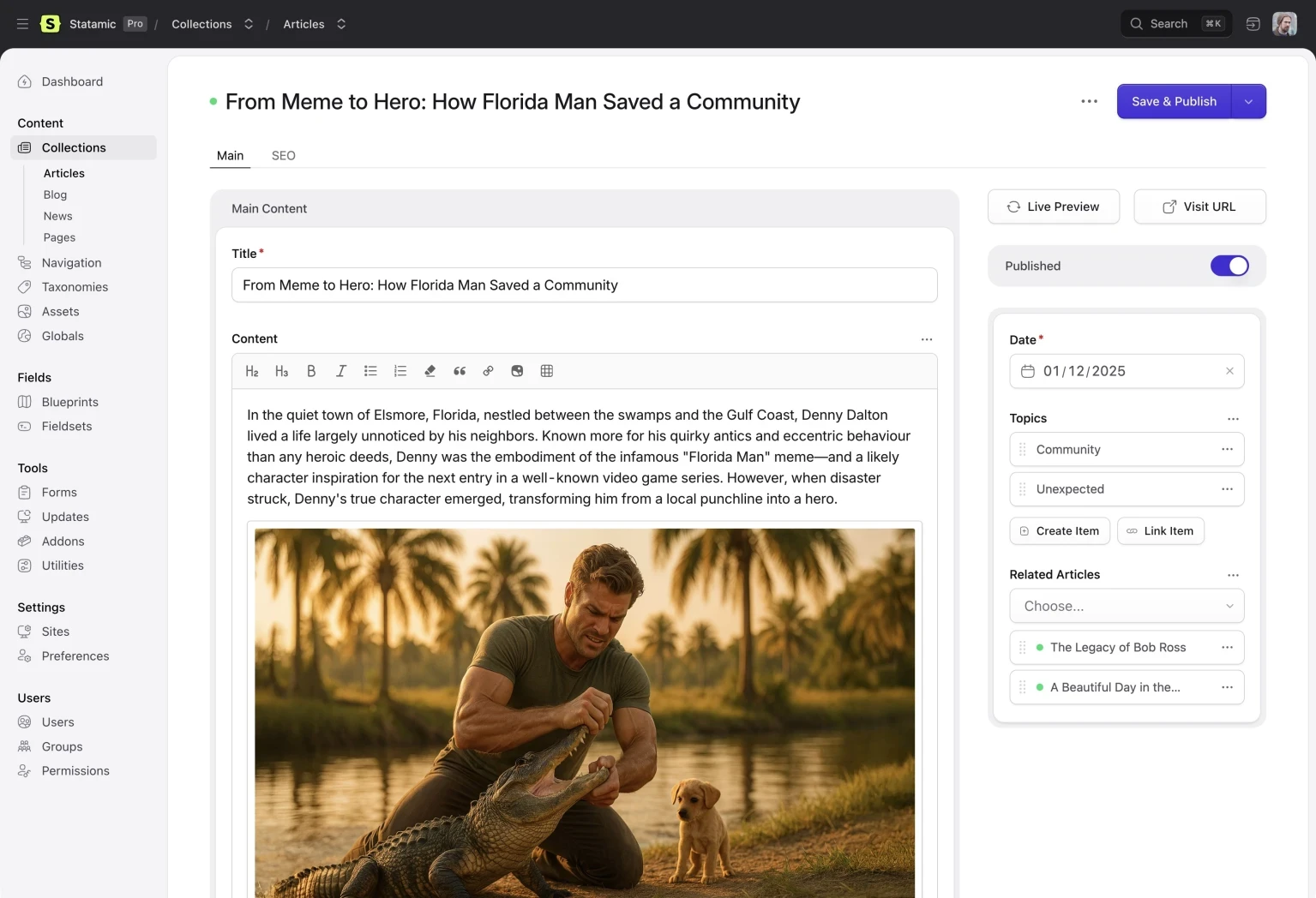 Statamic screenshot 1