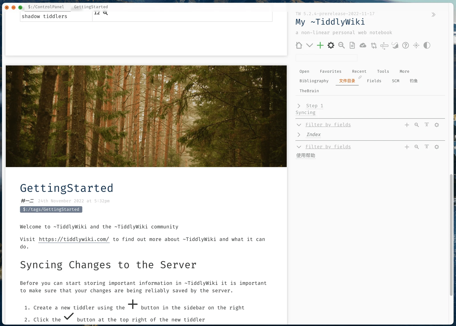 TidGi screenshot 1