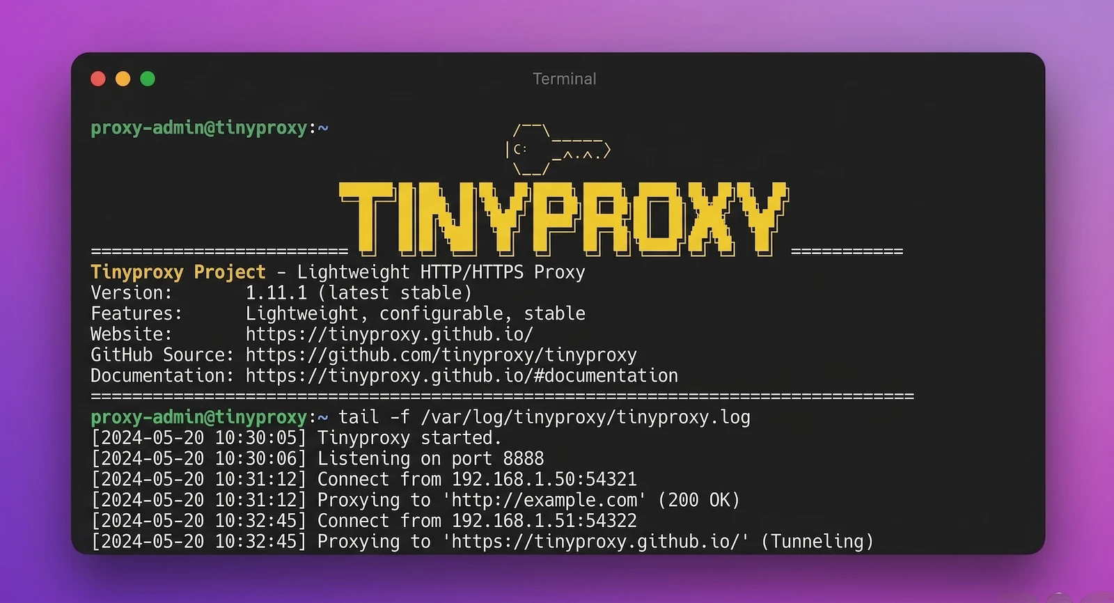 Tinyproxy screenshot 1