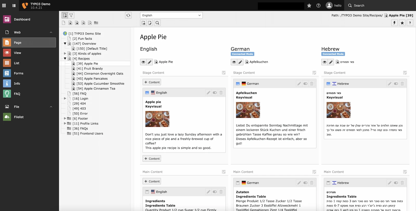 TYPO3 screenshot 1