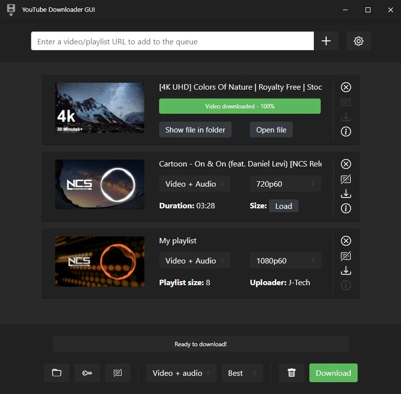 Open Video Downloader screenshot 1